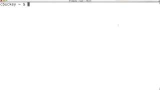 Finding Diffs Solution - How to Use Git and GitHub