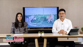 ปลาร้ากับพยาธิใบไม้ตับ | รายการ pet care onair