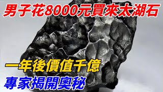 男子花8000元買來太湖石，一年後價值千億？專家揭開奧秘【奇遇天下】 #鑒寶 #考古 #考古發現 #小閆打鐵鐲