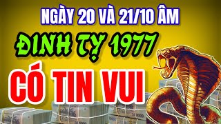 Tử vi tuổi Đinh Tỵ 1977. Ngày 20 và 21/10 âm là thời điểm vàng, cơ hội đổi đời đã đến!