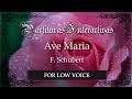 Ave Maria KARAOKE FOR LOW VOICE - F. Schubert - Key: F Major