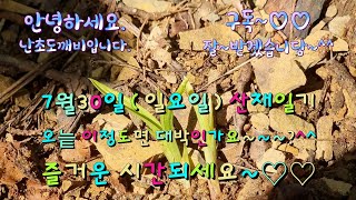 7월30일(일요일)오늘 이정도면 대박인가요~~?^^4k