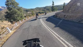 Cruising the Twisties of Tasmania | BMW S1000XR