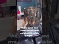 combing out her 5 years old locs