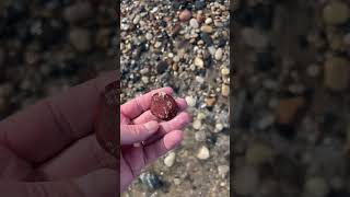 Double Finds | Single clip ❤️ Jasper \u0026 Variolite 🤩