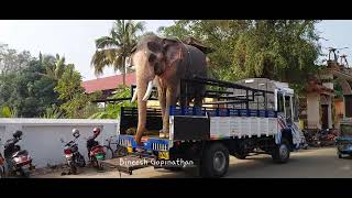 ലോറിയിൽ നിന്നും ഇറങ്ങുന്ന ആളെ മനസിലായോ 😍 | വലിയപുരക്കൽ സൂര്യൻ