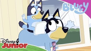 😎 Szefowa Bluey | Bluey | Disney Junior Polska