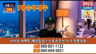 20190203 사이상의 다이너마이트 일요일 서울, 부산 경마방송