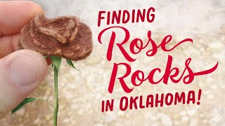 Finding Rose Rocks at Lake Stanley Draper!