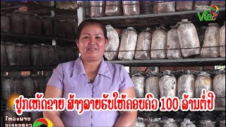 ປູກເຫັດຂາຍ ສ້າງລາຍຮັບໃຫ້ຄອບຄົວ 100 ລ້ານຕໍ່ປີ