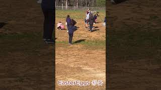 Easter Egg Hunt 寻找复活节彩蛋