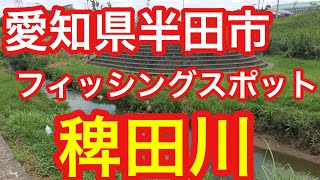 稗田川  愛知県フィッシングスポット 半田市