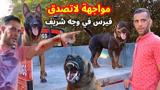 كلبي فيرس الشرس يظهر قوته أمام شريف شحاتة! مواجهة نارية بين فيرس وشريف. مفاجأة مذهلة #ابّونور