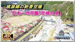 日本一の阿智村「花桃の里」　鳥目線の絶景（ドローン空撮　drone４ｋ動画）