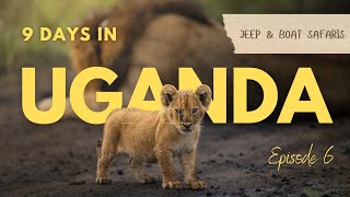 Full-Day Safari: Tree-Climbing Lions \u0026 Elephant Battles | Uganda Series Ep. 6