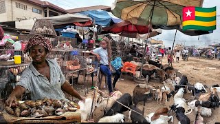 Market day in Akodessewa lomé Togo west Africa Buying and cooking traditional Togolese okro and fufu