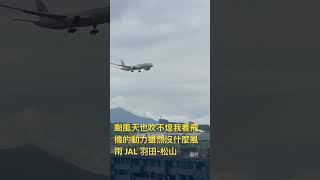 颱風天也要看飛機起降舒壓 JAL787-9 羽田空港 松山機場 #飛機