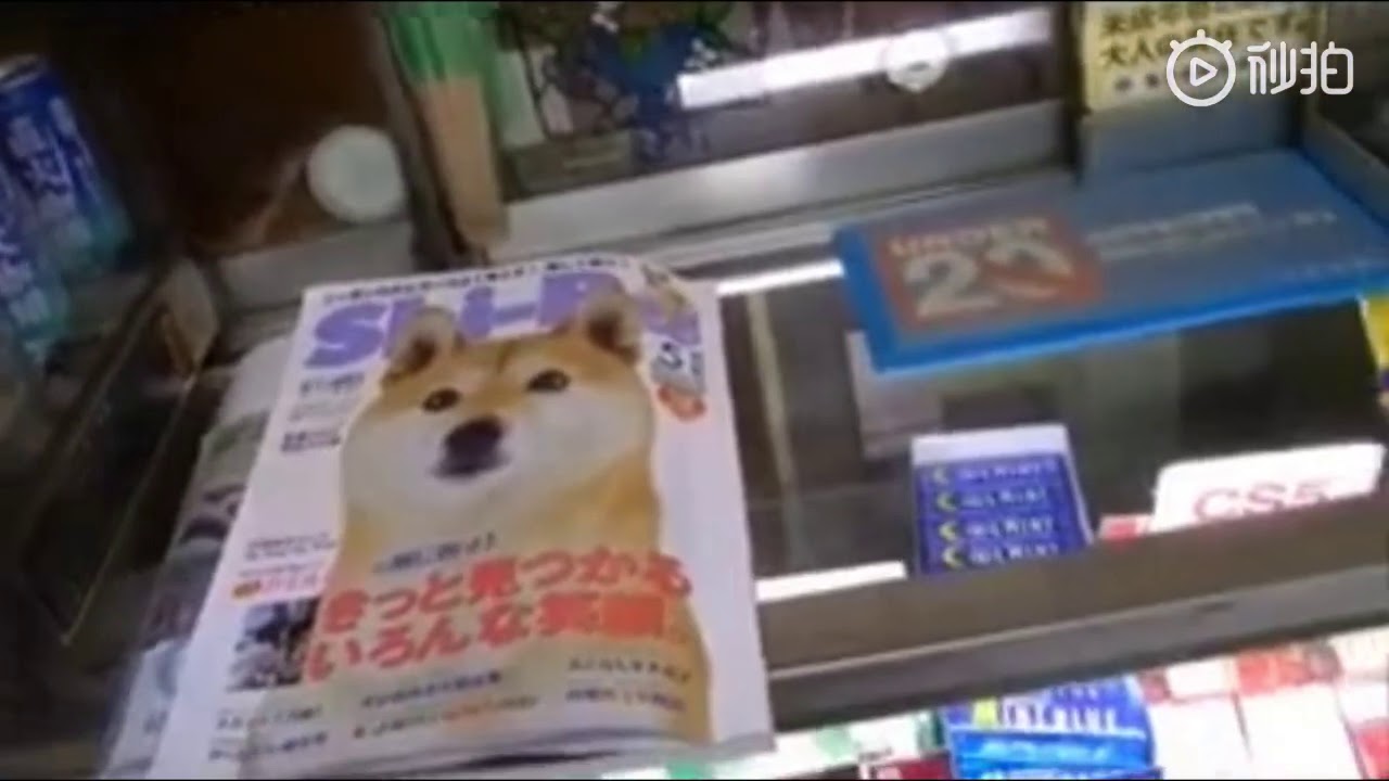 0009hwzhlx07tpeg7wra01041200eyqc0e010 Youtube