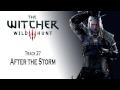 The Witcher 3 OST After the Storm