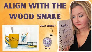 Foundations for 2025: Understanding the Year of the Wood Snake and Energetic Beginnings