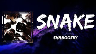 Shaboozey - Snake (Lyrics)