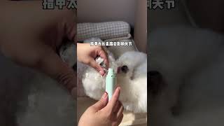 抗拒剪指甲的小猫小狗，换成这个声音小的磨甲器，舒舒服服的就把指甲磨好啦如何给狗狗剪指甲 萌宠好物 猫咪指甲剪 科学养宠攻略