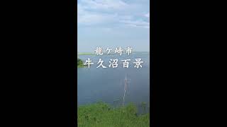 【龍ケ崎市】牛久沼百景