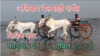 👌किहिम बीच फाईनल गट बैलगाड़ी शर्यत (12 एप्रिल 2023)👌