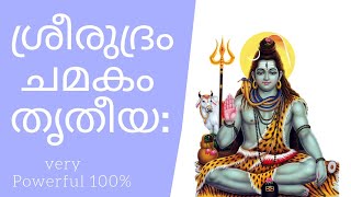 ശ്രീരുദ്രം -ചമകം  - തൃതീയ: അനുവാക: ... Powerful Vedic mantra..(മലയാളം അർത്ഥസഹിതം)