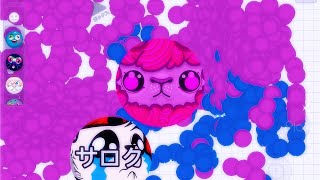 THE BEST DUO (AGARIO MOBILE)