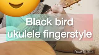 Black bird (ukulele fingerstyle) The beatles ブラックバード　ザ ・ビートルズ