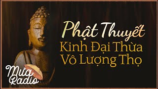 PHẬT THUYẾT KINH ĐẠI THỪA VÔ LƯỢNG THỌ (Bản Mới Nhất, Hay Nhất 2023) | Mưa Radio