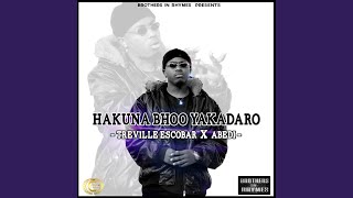 Hakuna Bhoo Yakadaro (feat. Abedi)