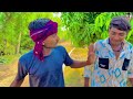 🥭 કેરી ચોર 🥷🤠🤣 keri chor comedy video gujarati comedy spoof comedy paresh thakor 1111