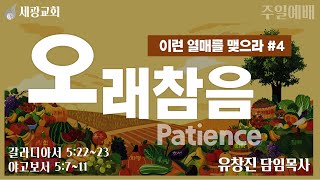 [세광교회-주일예배] 오래참음 (Patience) | 유창진 담임목사 | 2024-1027