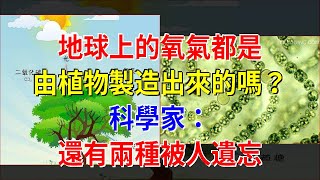 地球上的氧氣都是由植物製造出來的嗎？科學家：還有兩種被人遺忘