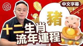 【徐凱亮師傅】2023年生肖豬運勢攻略