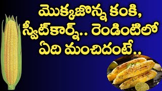 Corn kanki, sweet corn  whichever is better | మొక్కజొన్న కంకి, స్వీట్‌కార్న్ రెండింటిలో ఏది మంచిదంటే