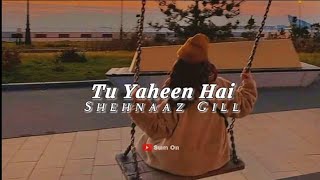 Tu Yaheen Hai (slowed ~ reverb) - Shehnaaz Gill