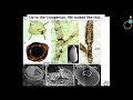 Lecture 1: The Rise of Animals