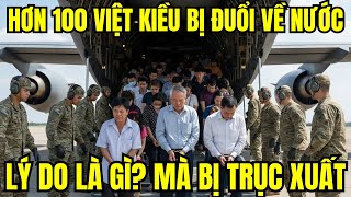 Over 100 Overseas Vietnamese Deported Back to Hanoi: What's the Reason?