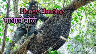 मधाचे पोळे कसे काढतात / Honey Hunting