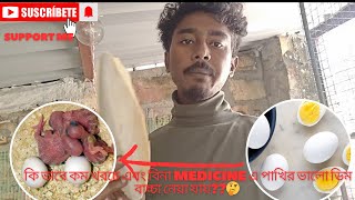 কি ভাবে, কম খরচে, medicine ছাড়া পাখিদের থেকে সহজে ভালো ডিম বাচ্চা নেয়া যাবে???🤔🤔watch full video