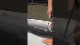 Fastest salmon fillet #short #salmonfish #salmon salmonfillet @Greattaste888