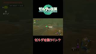 ゼルダを疑うリンク【ゼルダの伝説　ティアーズ オブ ザ キングダム】