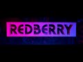 Redberry - Digital Transformation Agency