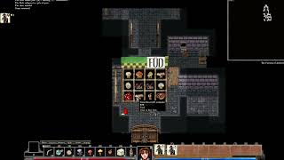 I Browse Through a Dungeon [Dungeons of Dredmore]