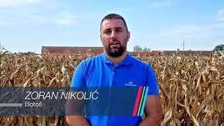 Dekalb hibridi za 2023. godinu