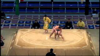 Kyushu 2011 Basho Yusho Races, Round 7: Jd80e Terunosato (5-1) - Jk11w Ikeru (6-0)