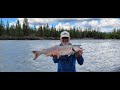 Finish Clearing of Off Grid Shop Site & Sockeye Salmon Fishing in Alaska